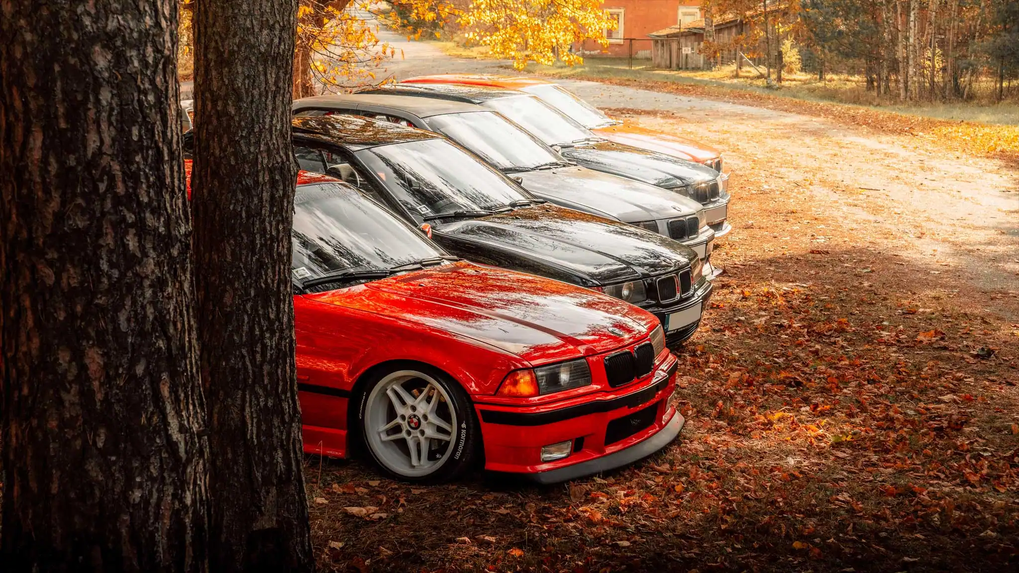 Several BMWs autumn sunshine